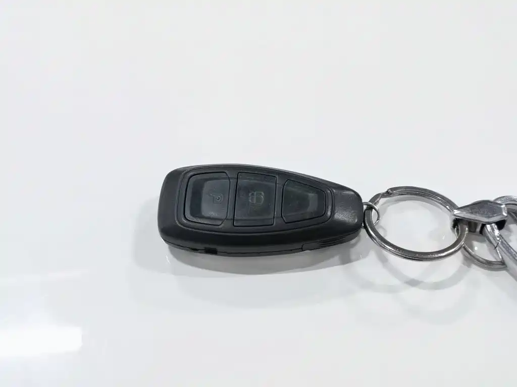 Ford Ecosport 2013 — фото 19