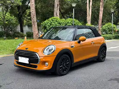 MINI MINI 2017