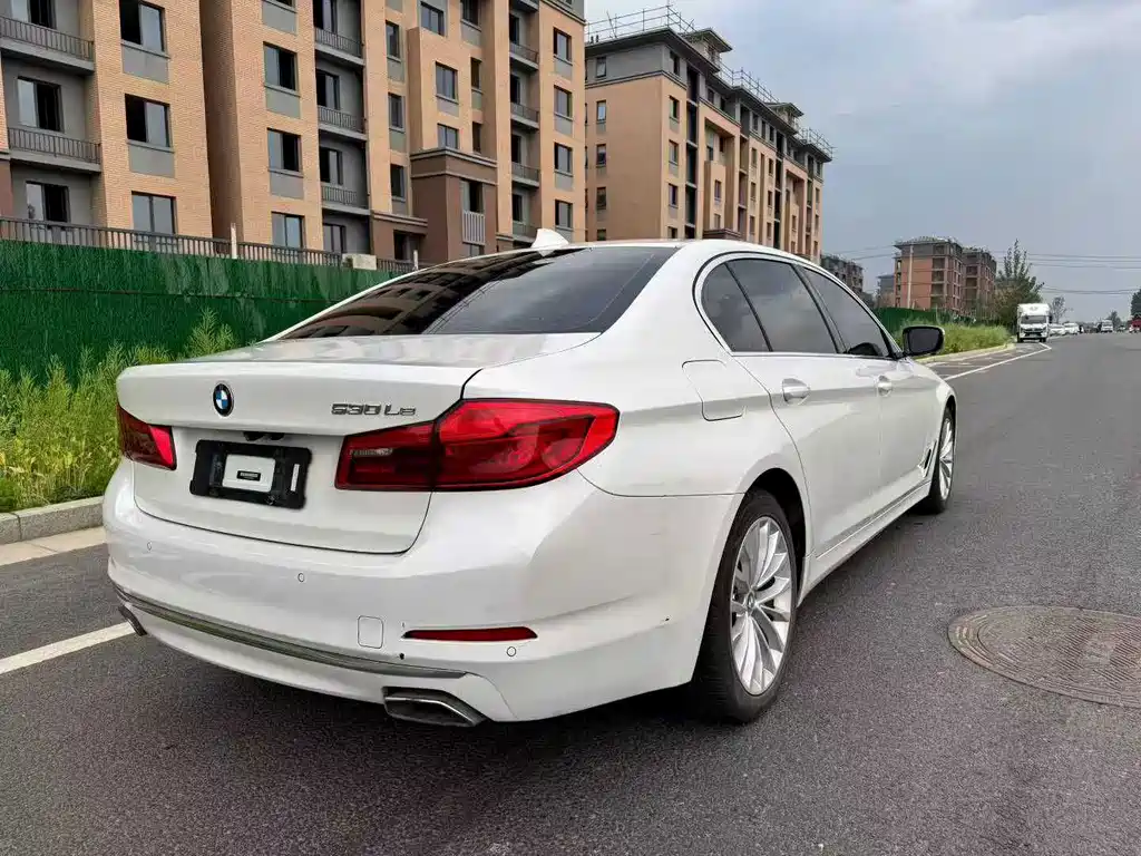 BMW 5 Series New Energy 2020