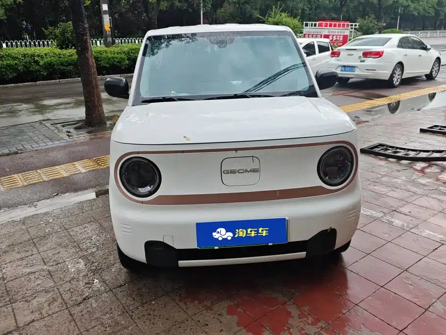 Geely Galaxy Panda 2025