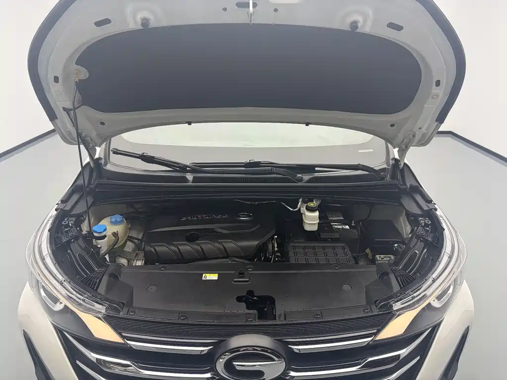 GAC Trumpchi M6 2019 — фото 18