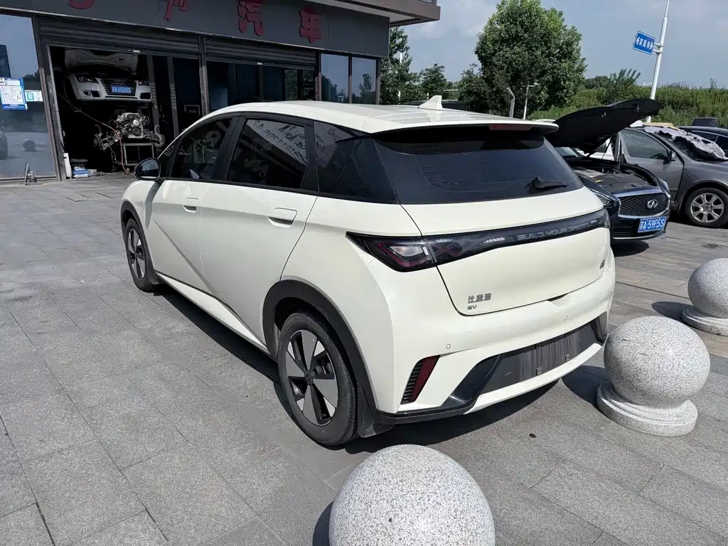 BYD Dolphin 2023 — фото 12