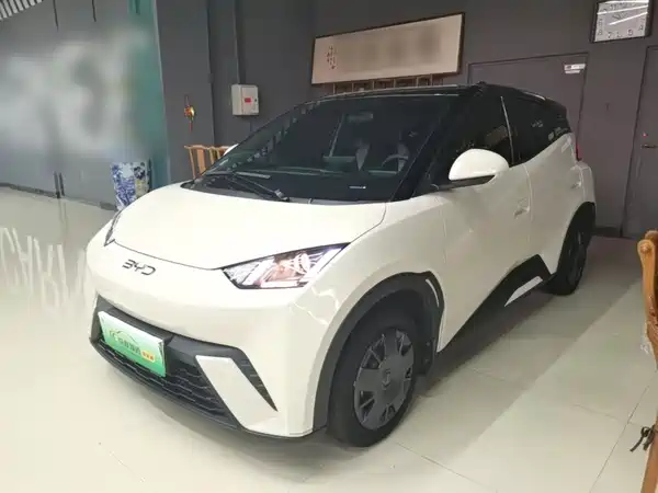 BYD Seagull 2024