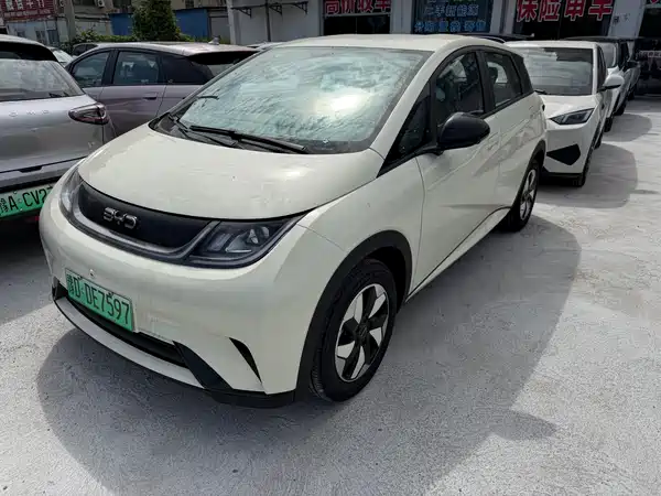 BYD Dolphin 2026