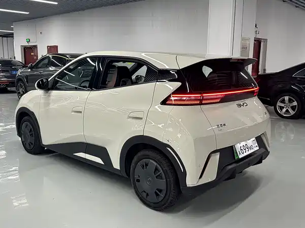BYD Seagull 2025