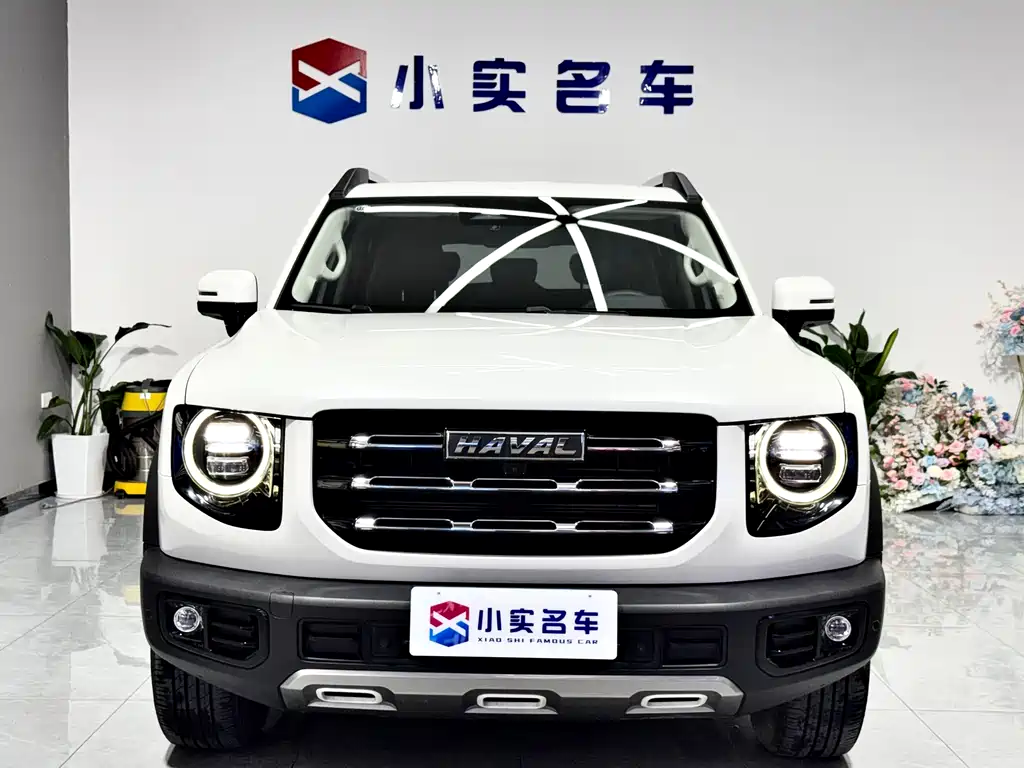Haval Big Dog 2022 — фото 2