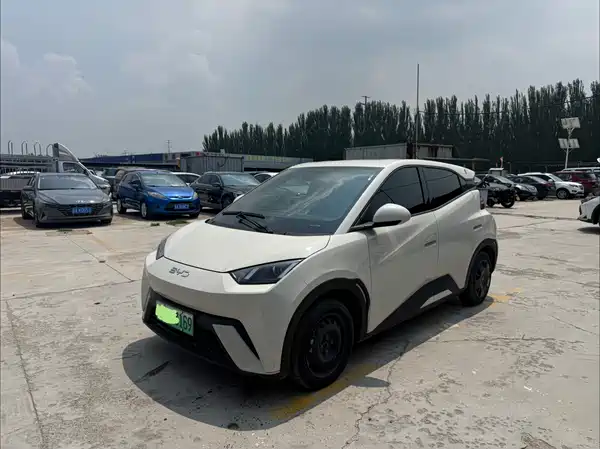 BYD Seagull 2024
