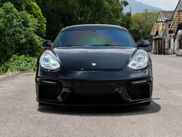 Porsche Cayman 2012