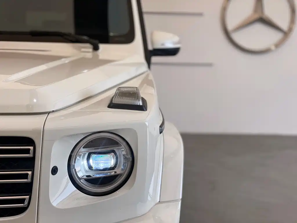 Mercedes-Benz G-Class 2021 — фото 3