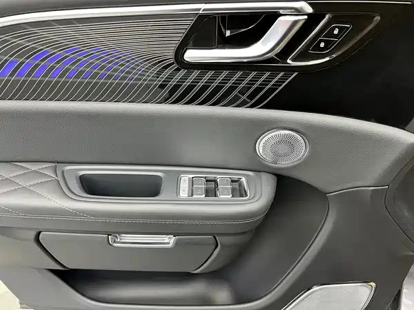 Hongqi E-HS9 2023