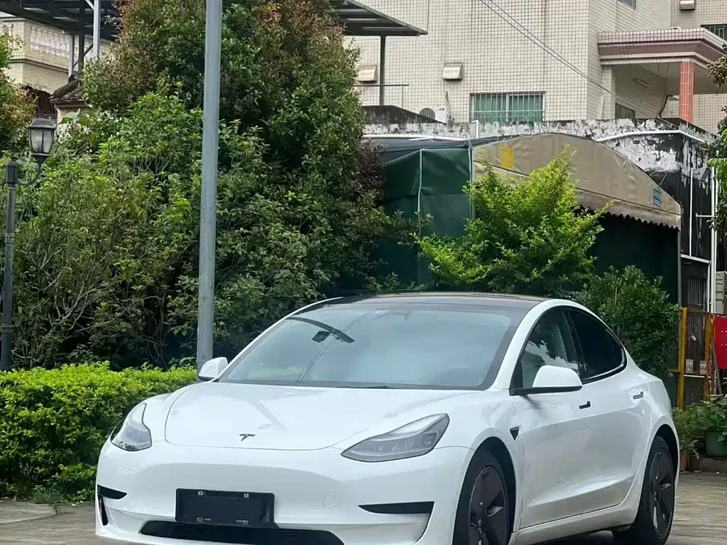 Tesla Model 3 2021 — фото 1