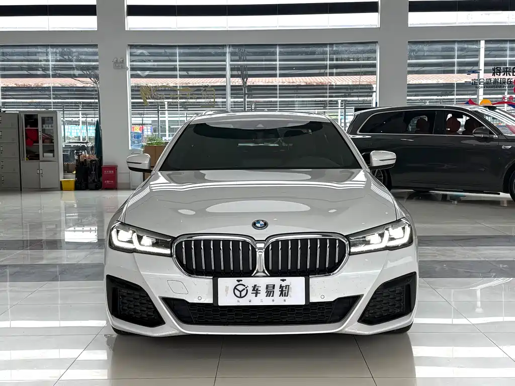 BMW 5 Series New Energy 2022 — фото 2
