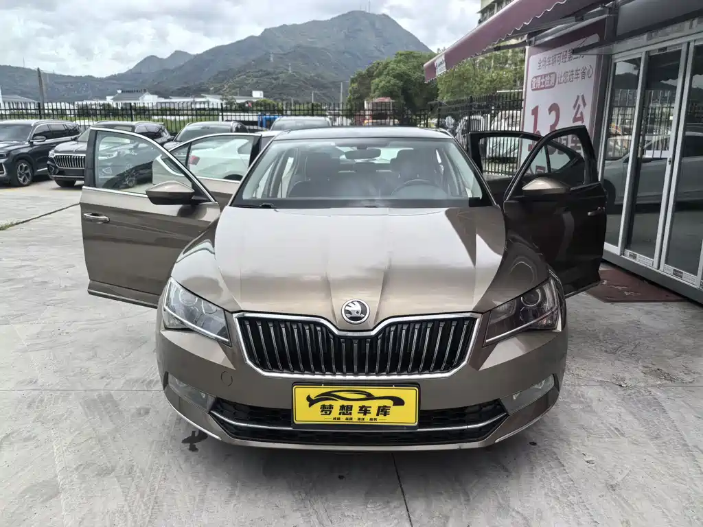 Skoda Speedy 2019