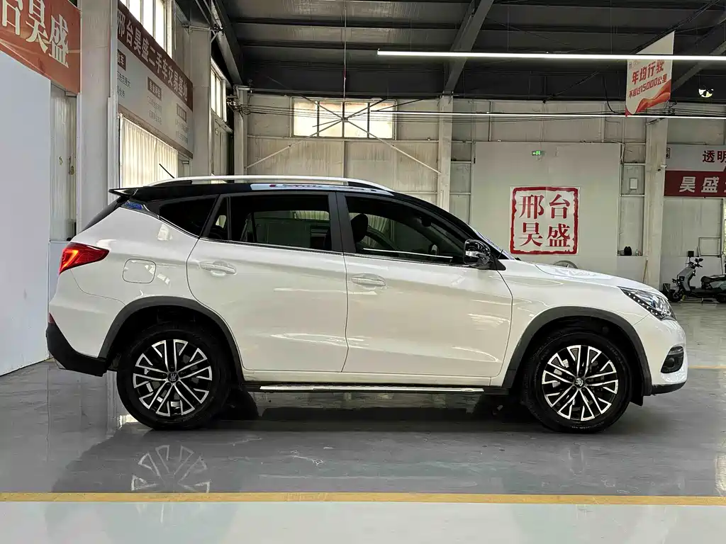BYD New Energy 2018