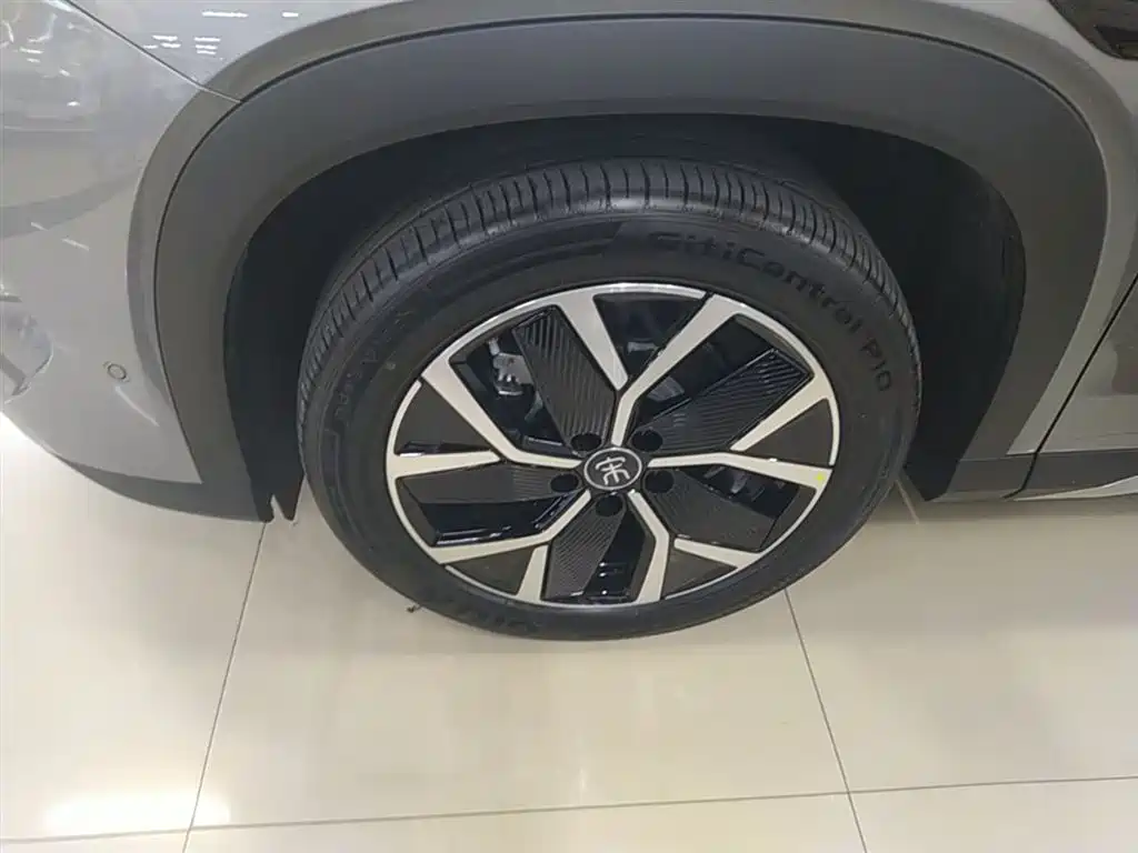 BYD L DM-i 2025 — фото 23