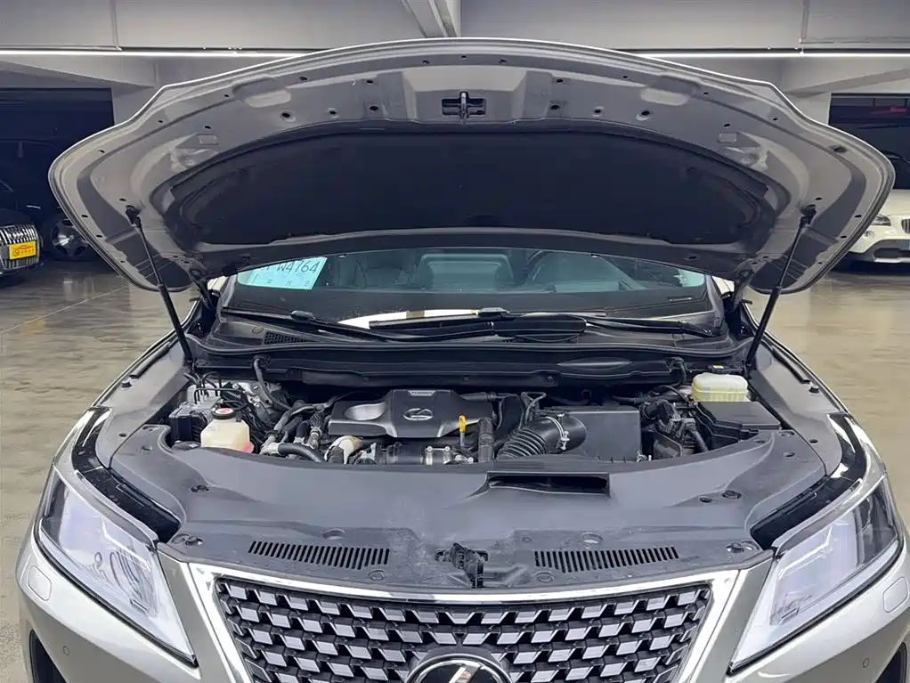 Lexus RX 2021 — фото 15
