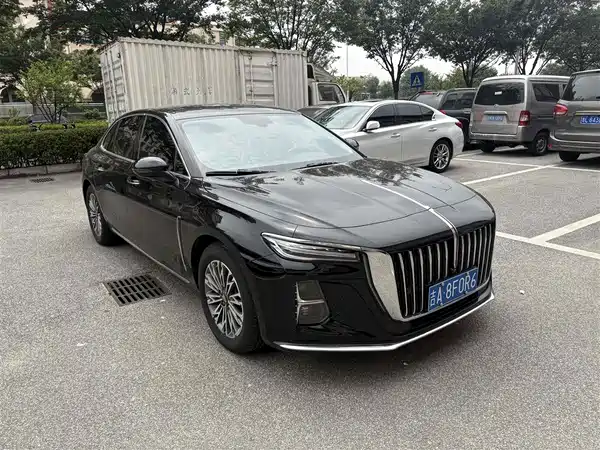 Hongqi H5 2024