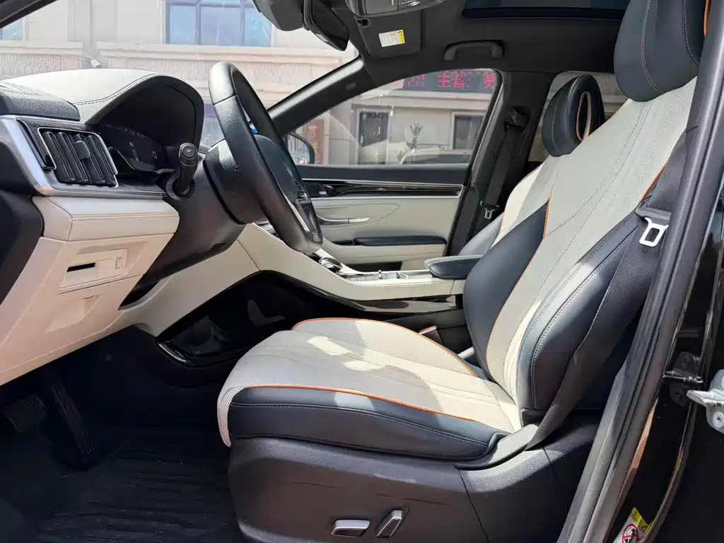 BYD Song PLUS New Energy 2021 — фото 4