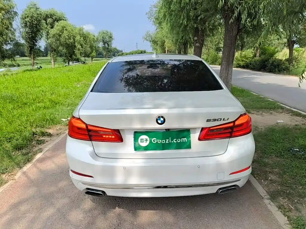 BMW 5 Series 2019