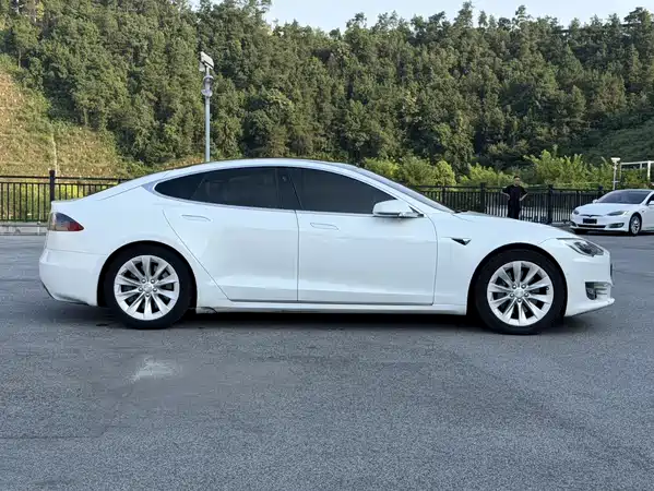 Tesla Model S 2019