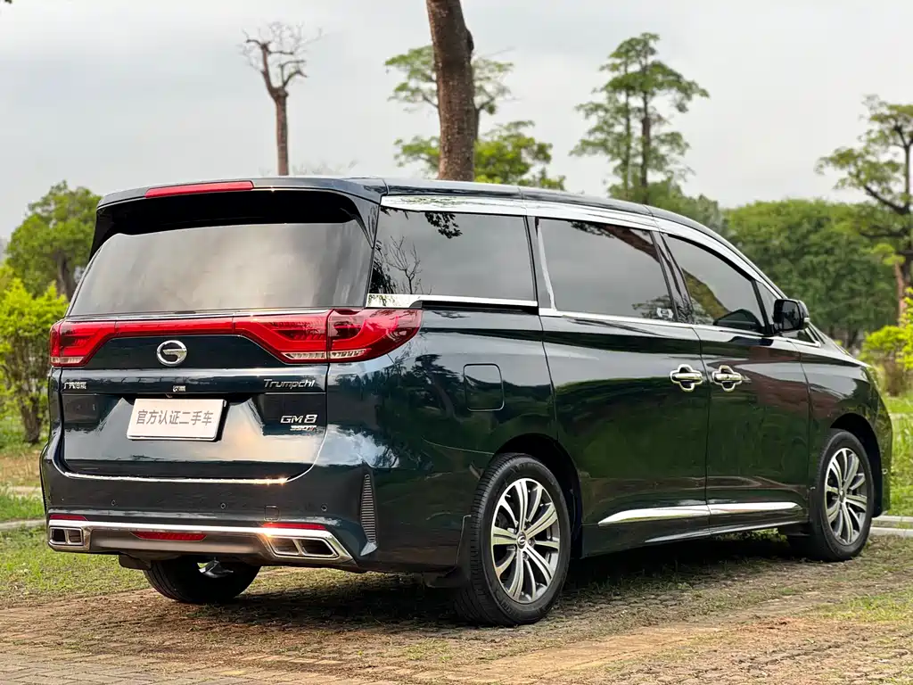 GAC Motor Trumpchi M8 2020 — фото 7