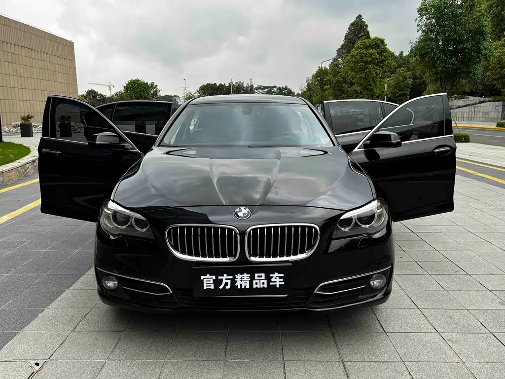 BMW 5 Series 2016 — фото 18