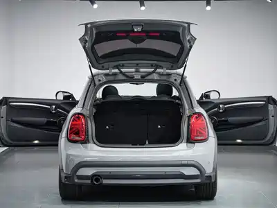 MINI MINI 2023
