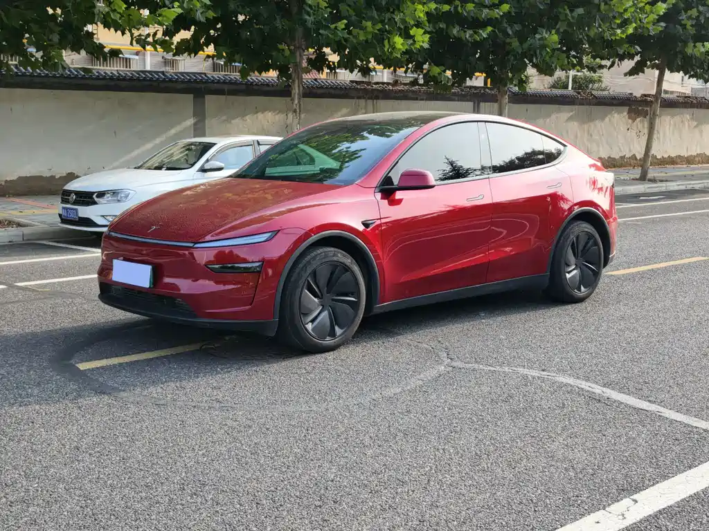 Tesla Model Y 2025 — фото 1