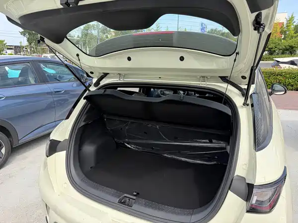 BYD Dolphin 2026
