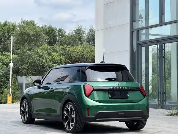 MINI MINI 2025