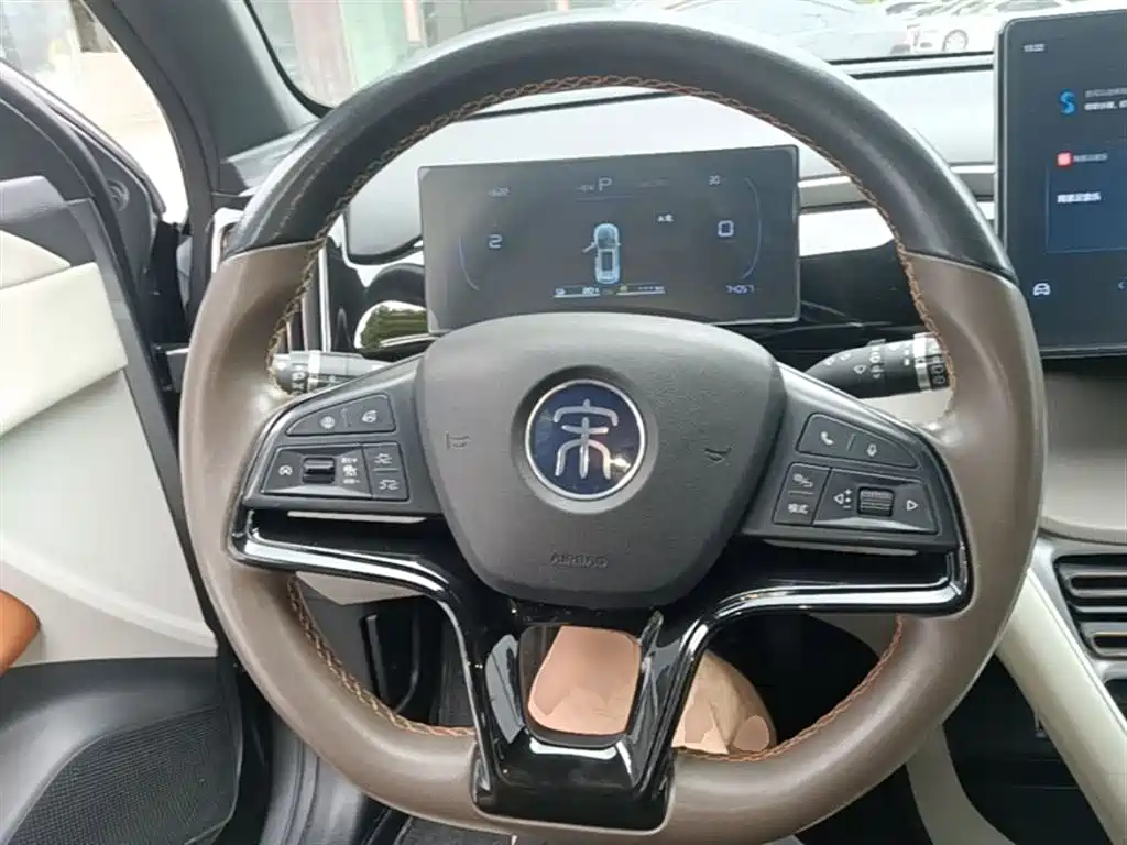 BYD Pro New Energy 2023 — фото 11