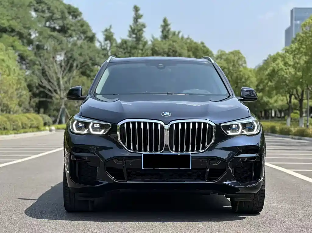 BMW X5 2019 — фото 2
