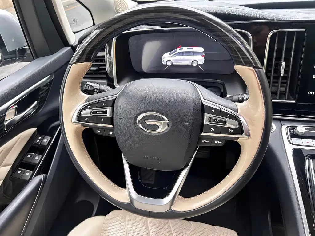 GAC Motor Trumpchi M8 2021 — фото 13