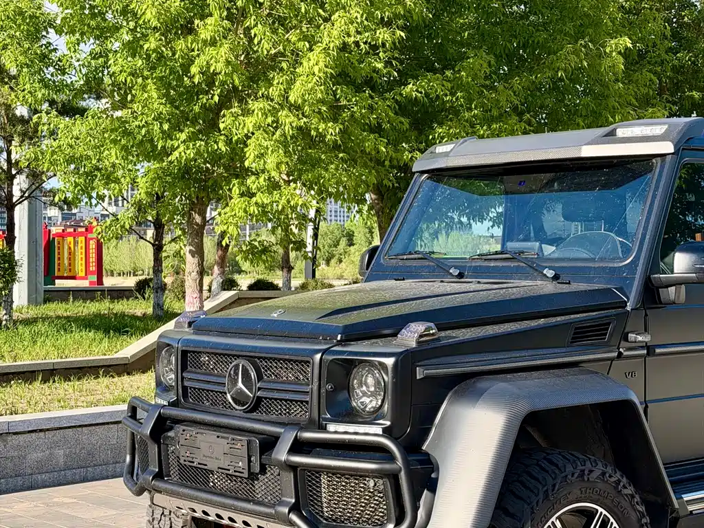 Mercedes-Benz G-Class 2017 — фото 5