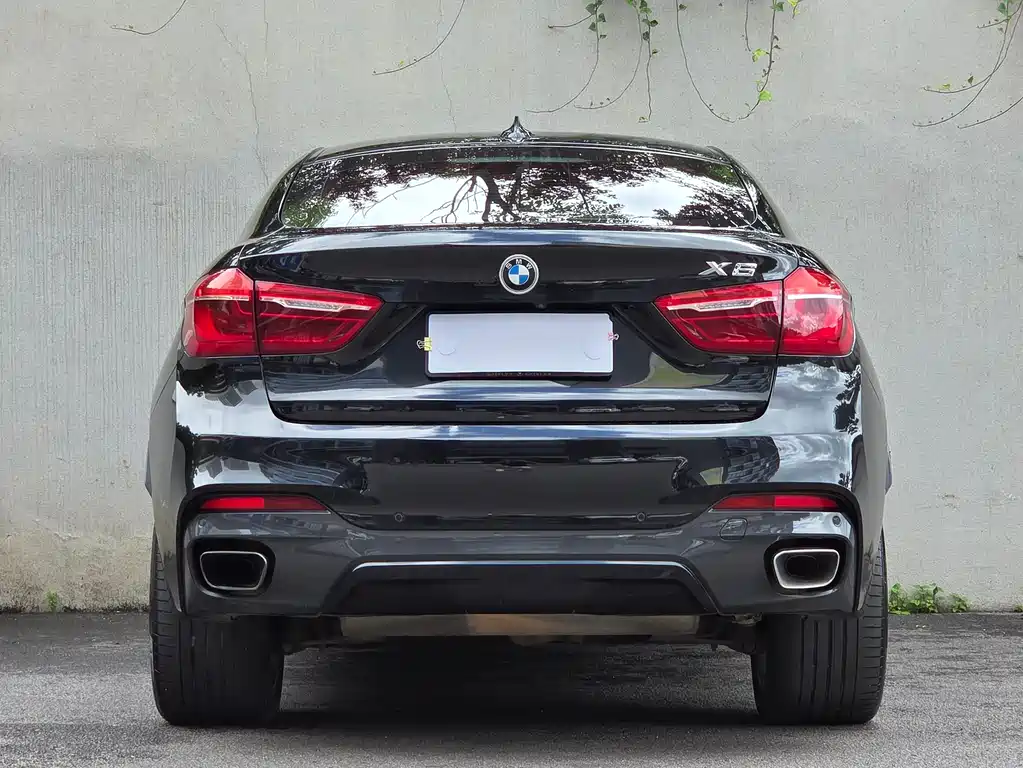BMW X6 2018