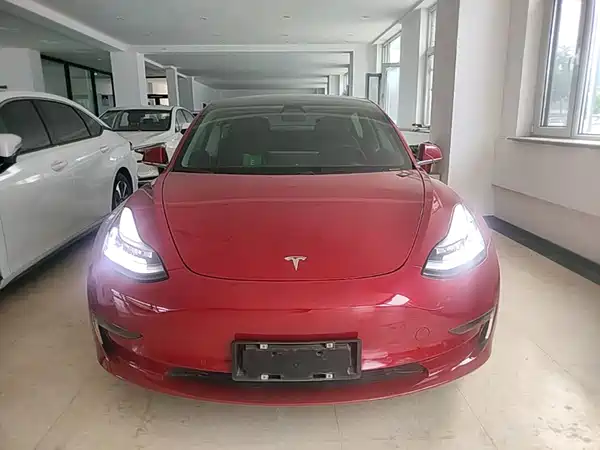 Tesla Model 3 2019