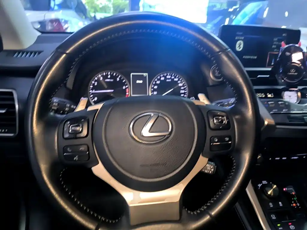 Lexus NX 2020 — фото 11