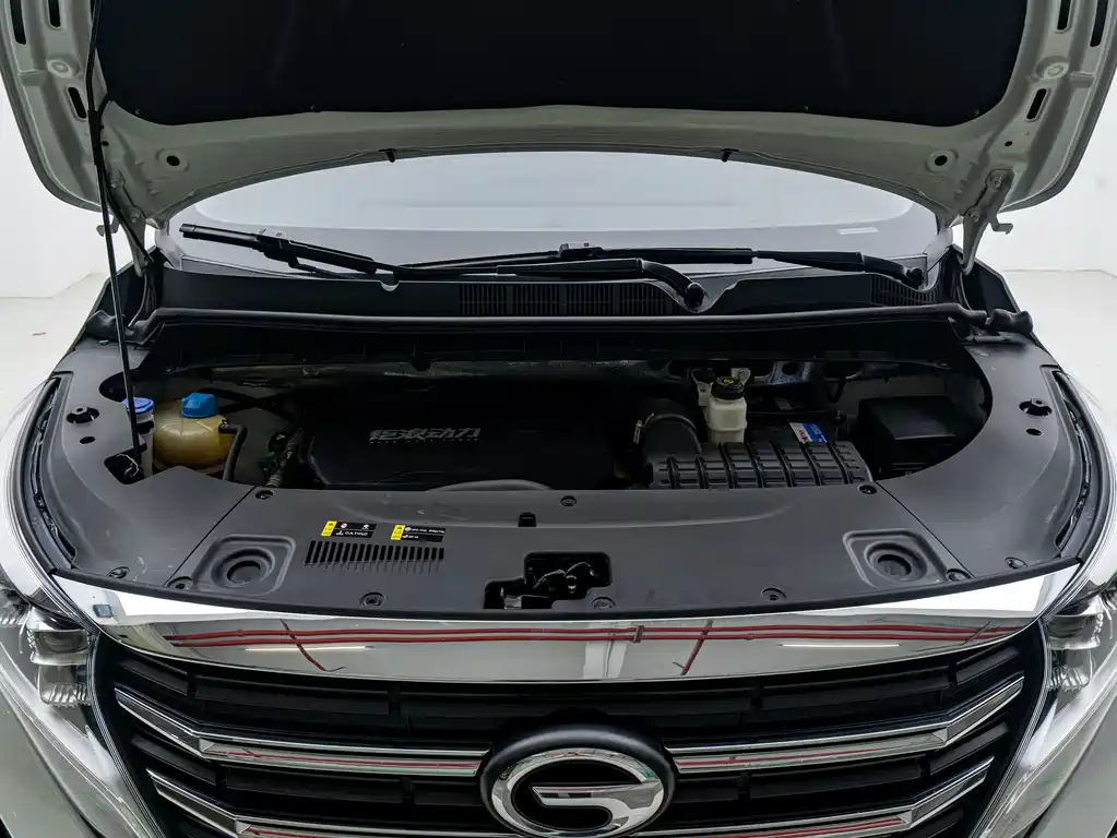 GAC Trumpchi M8 2023 — фото 25
