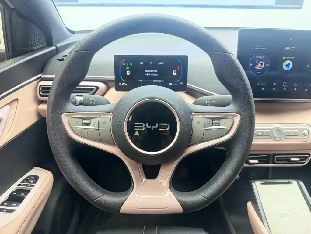 BYD Seagull 2025 — фото 11