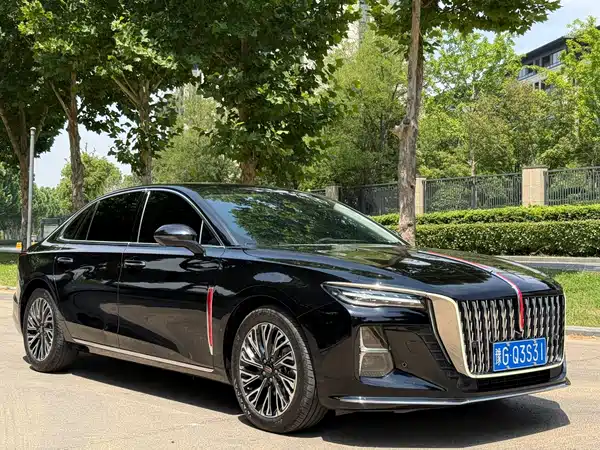 Hongqi H5 2024