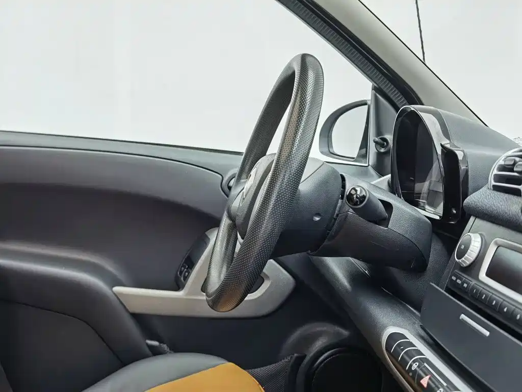 smart fortwo 2014 — фото 22