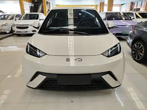 BYD Seagull 2024