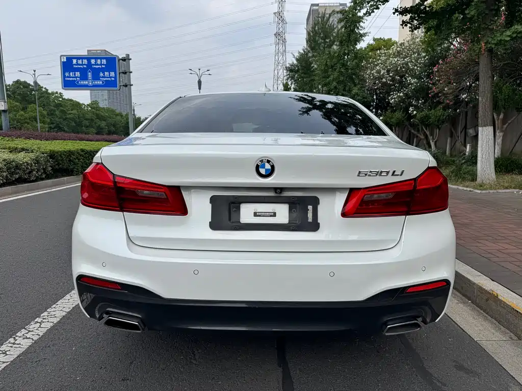 BMW 5 Series 2019 — фото 4