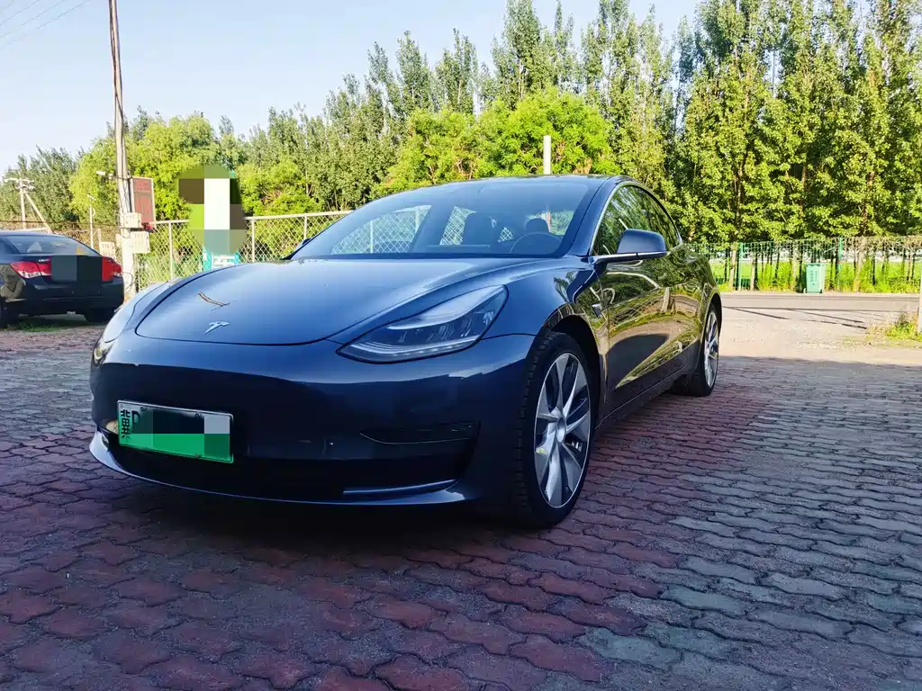 Tesla Model 3 2019