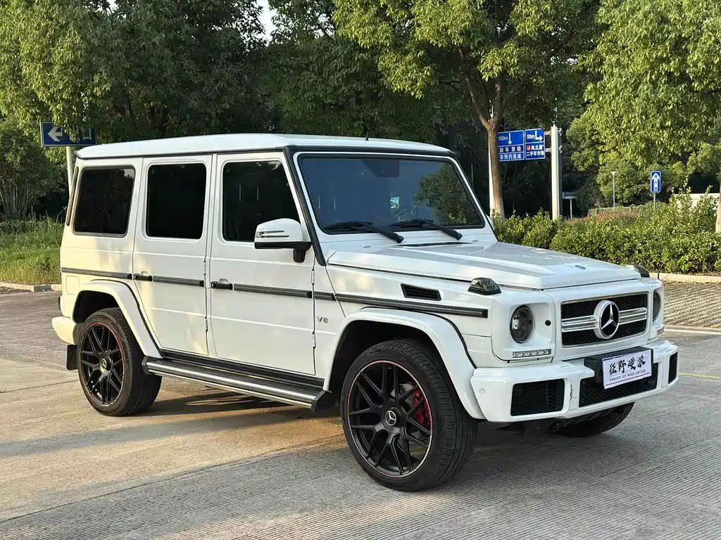 Mercedes-Benz G-Class 2018 — фото 3
