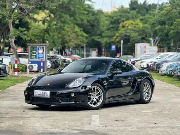 Porsche Cayman 2013