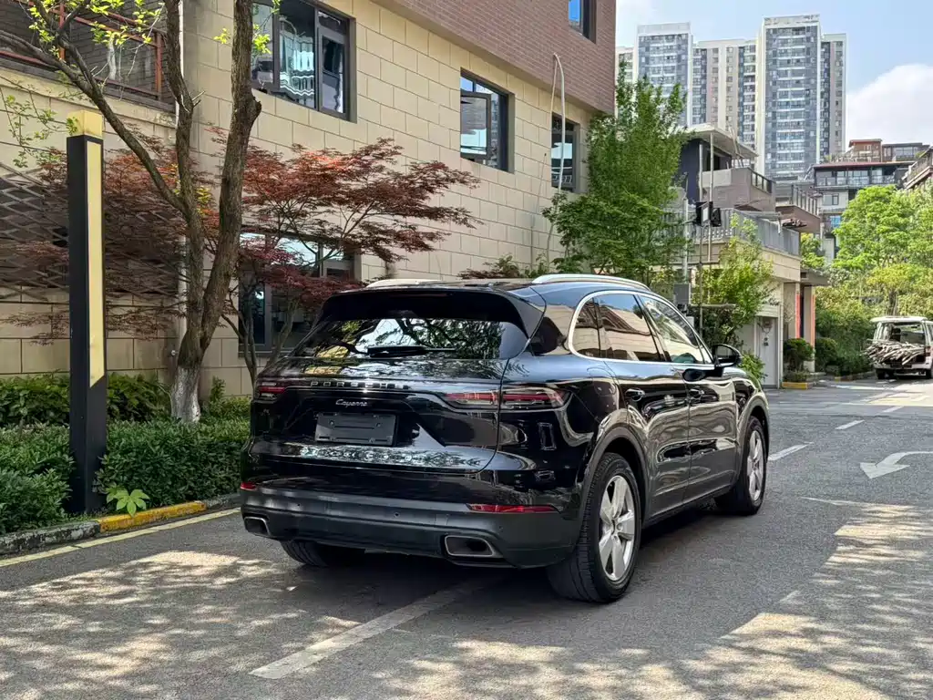 Porsche Cayenne 2020 — фото 9