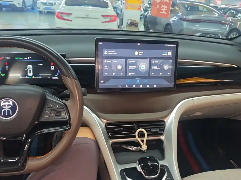 BYD Pro New Energy 2023 — фото 10