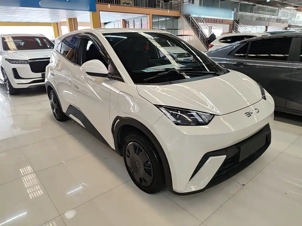 BYD Seagull 2024