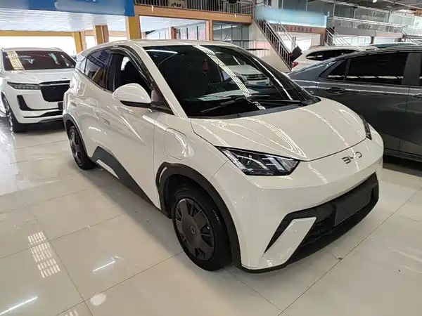BYD Seagull 2024
